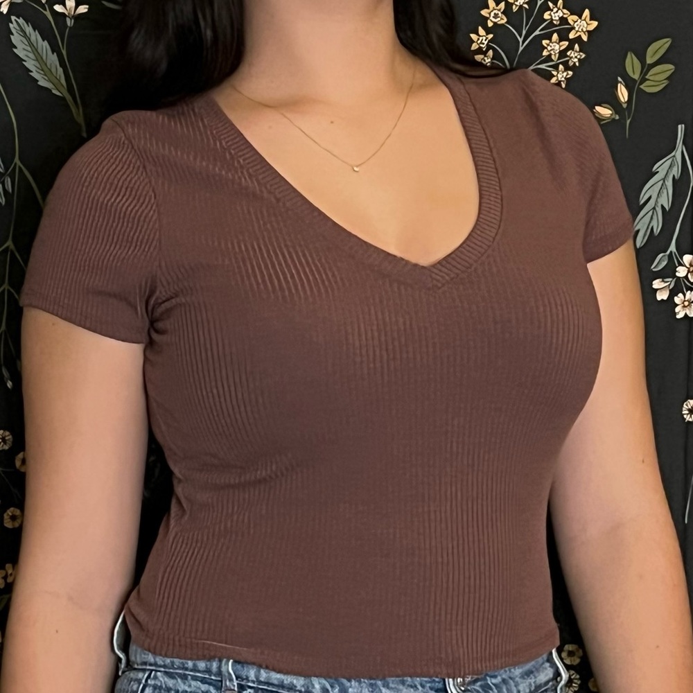 Tilly’s Cropped V-Neck Ribbed T-Shirt Brown